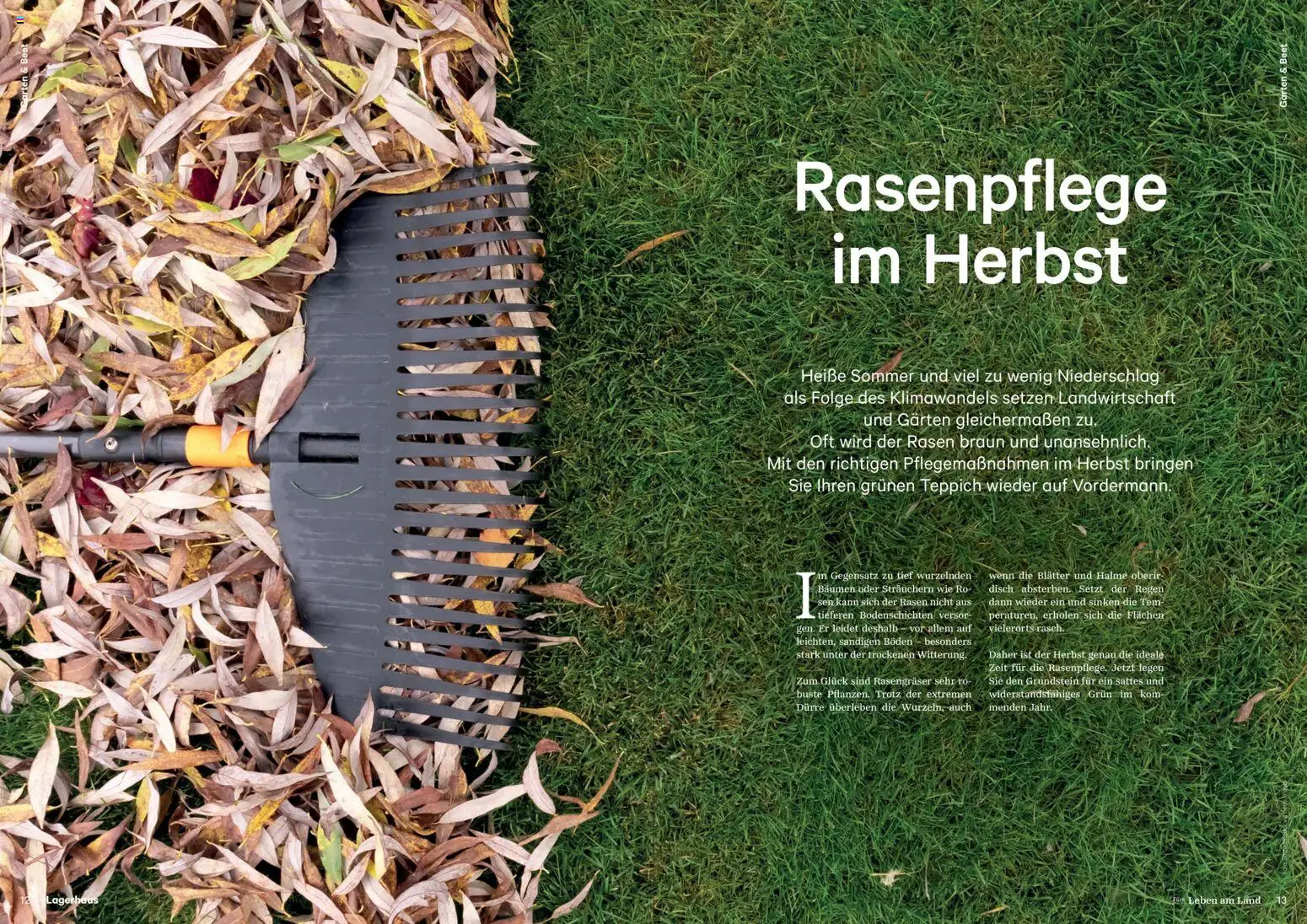 Lagerhaus Fürs Leben am Land Herbst 2026 gültig ab 01.08.2026 | Seite: 7 | Produkte: Teppich