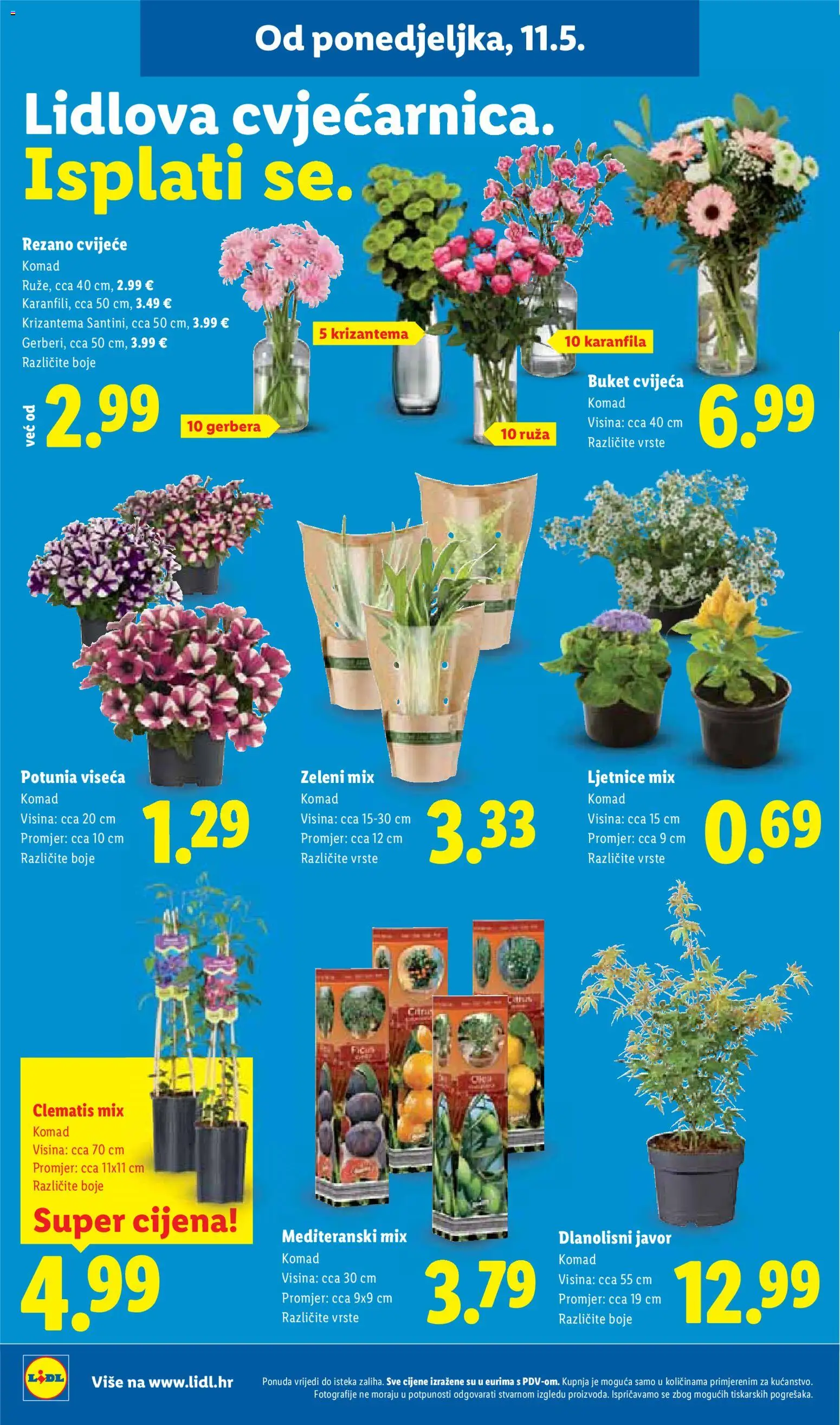 Lidl katalog | vrijedi od 11.05.2026 | Stranica: 46 | Proizvodi: Cvijeće