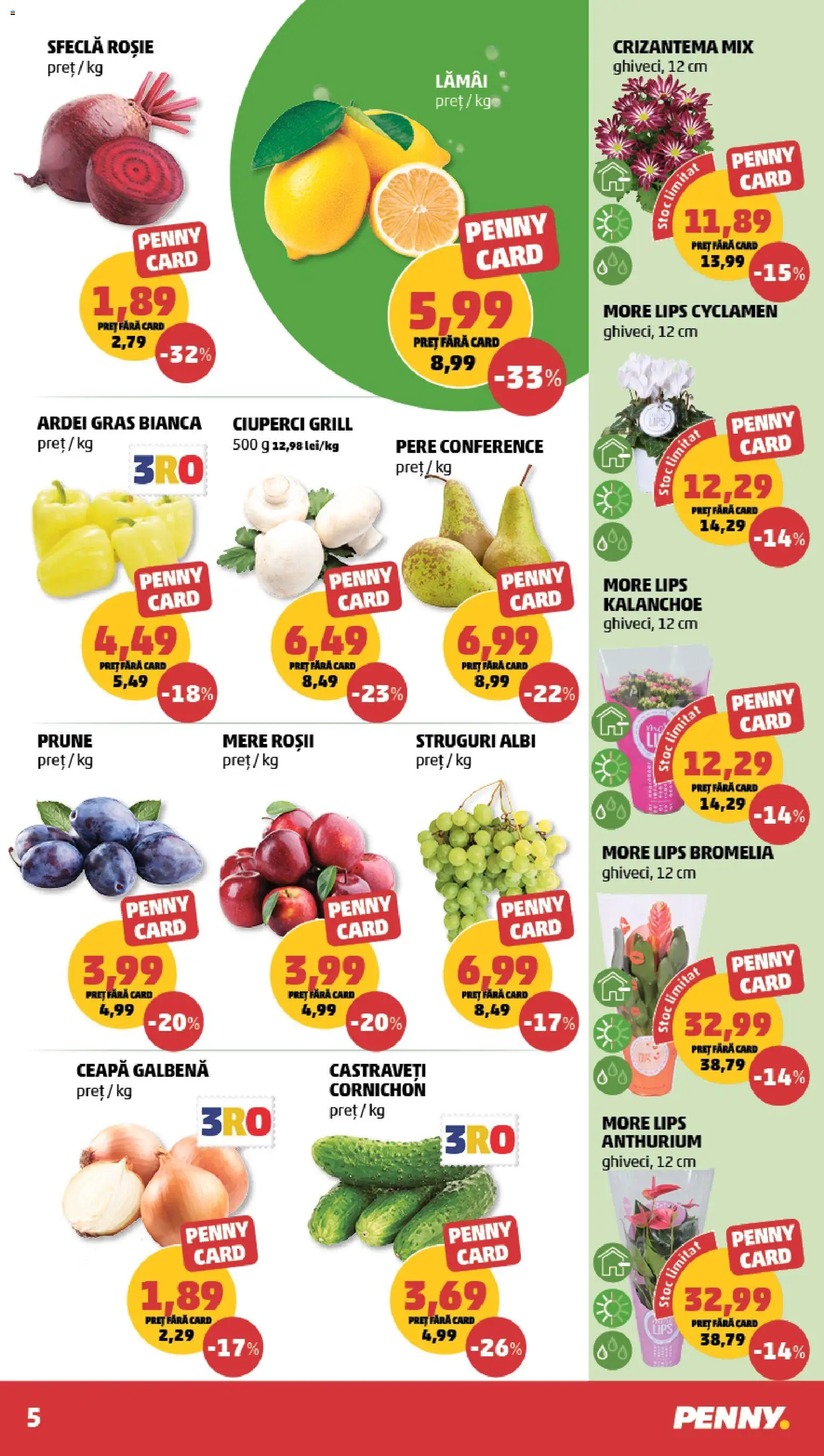 Noul catalog PENNY – valabil de la 09.09.2026 | Pagină: 5