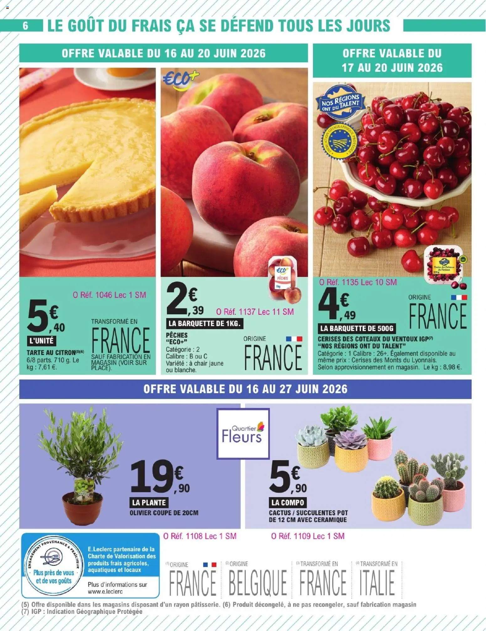 {H1} | Page: 24 | Produits: Citron, Cerises, Olivier