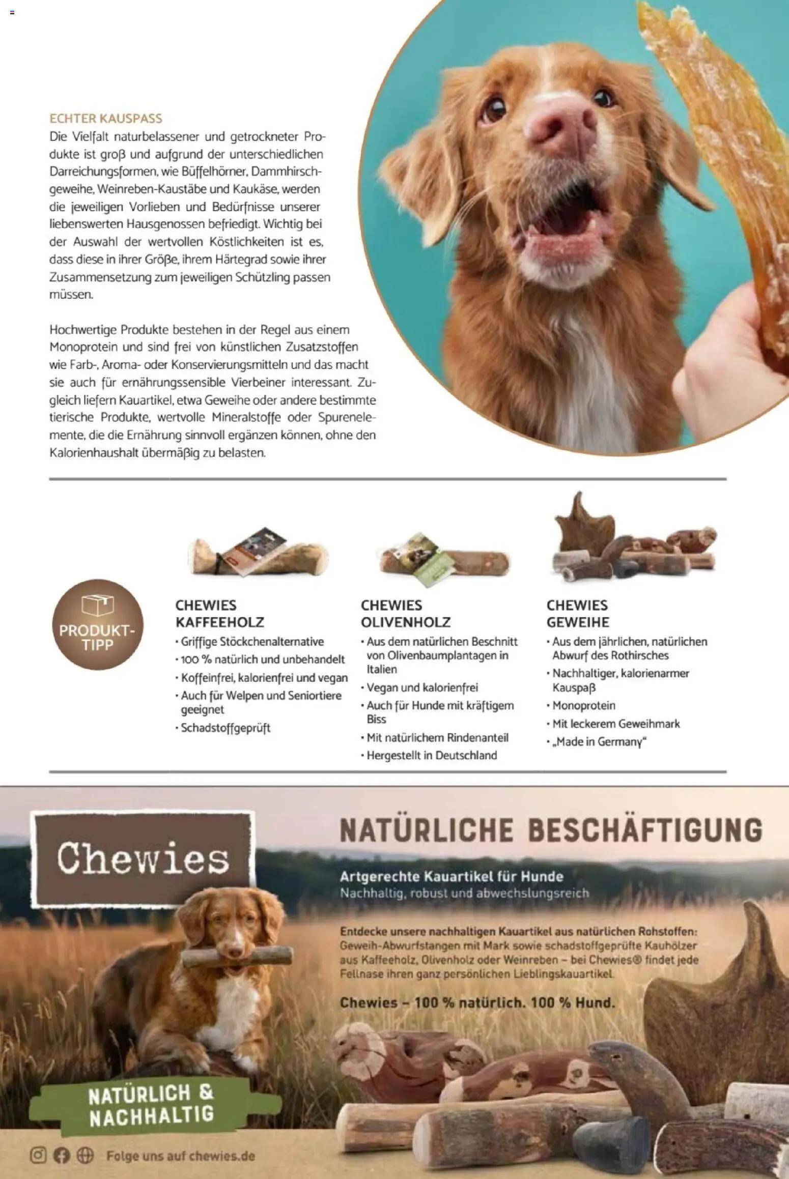 zookauf Heimtier Journal – gültig ab 01.06.2026 | Seite: 27
