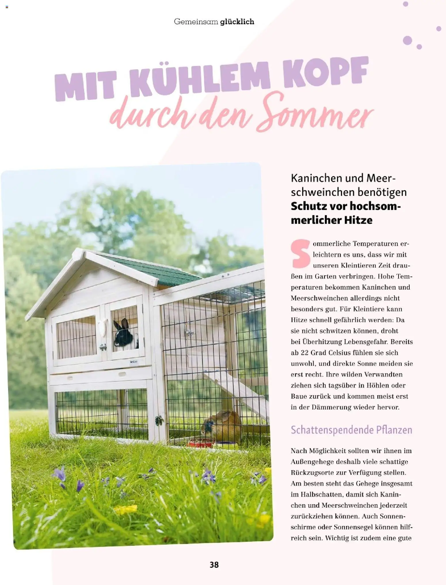 Die besten Angebote | Fressnapf Friends 07,08/26 ab 01.07.2026 | - Jetzt stöbern! | Österreich