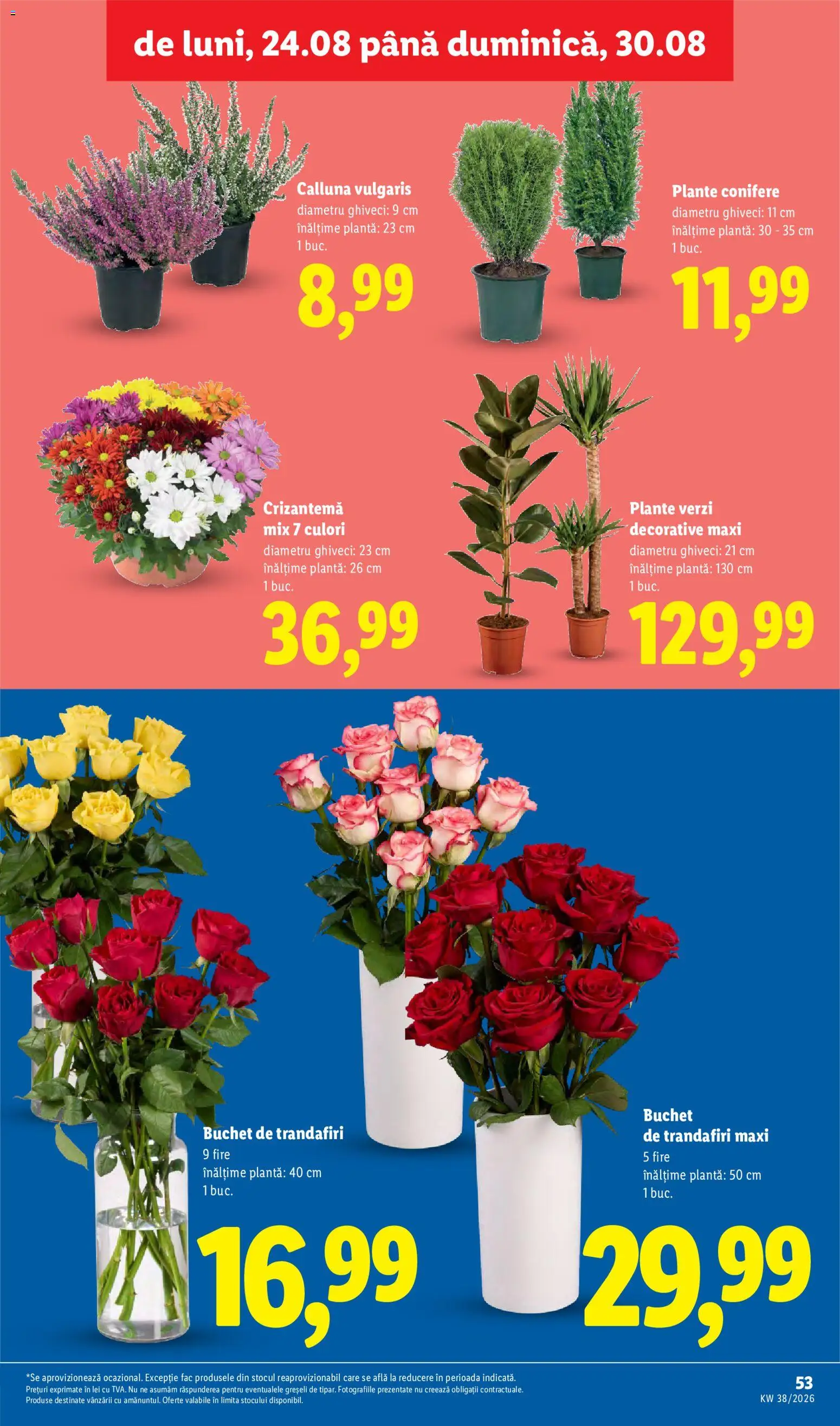 Noul catalog Lidl – valabil de la 14.09.2026 | Pagină: 53