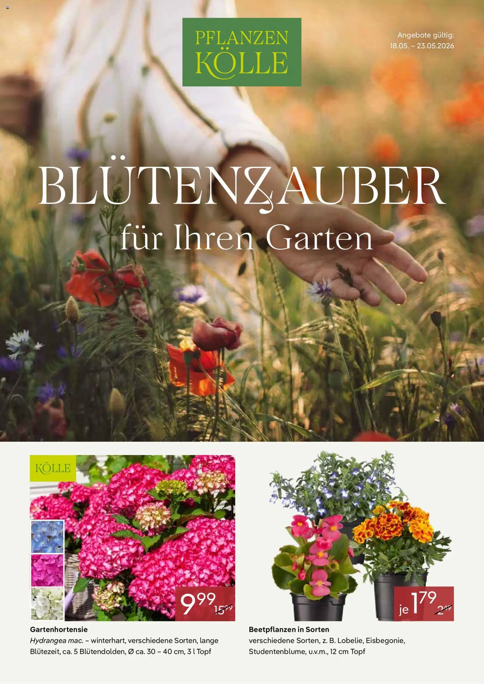 Pflanzen-Kölle Prospekt 	 – gültig ab 18.05.2026 | Seite: 1