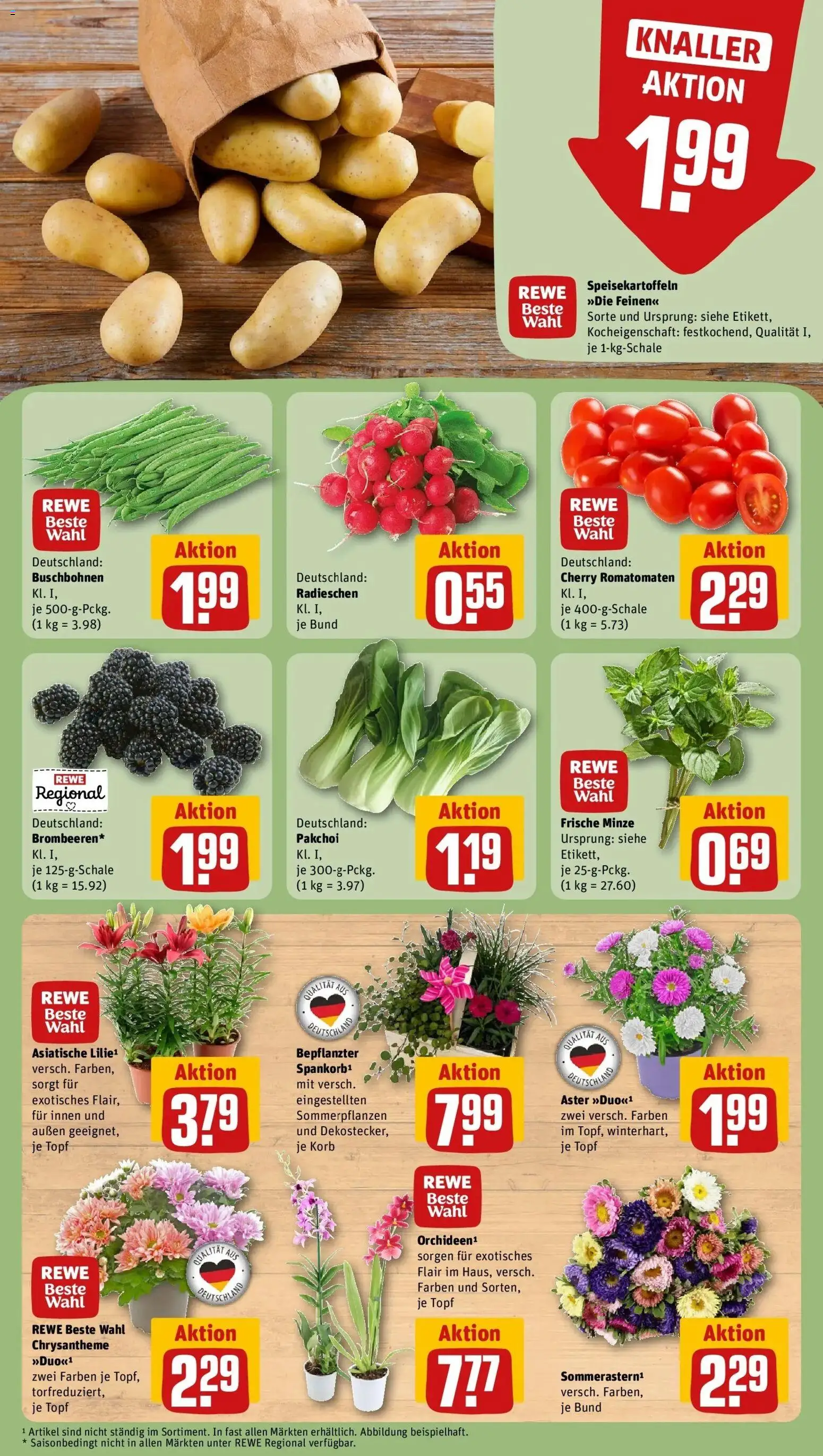 REWE Prospekt ab 03.08.2026 zum Blättern » Angebote | Seite: 7 | Produkte: Korb