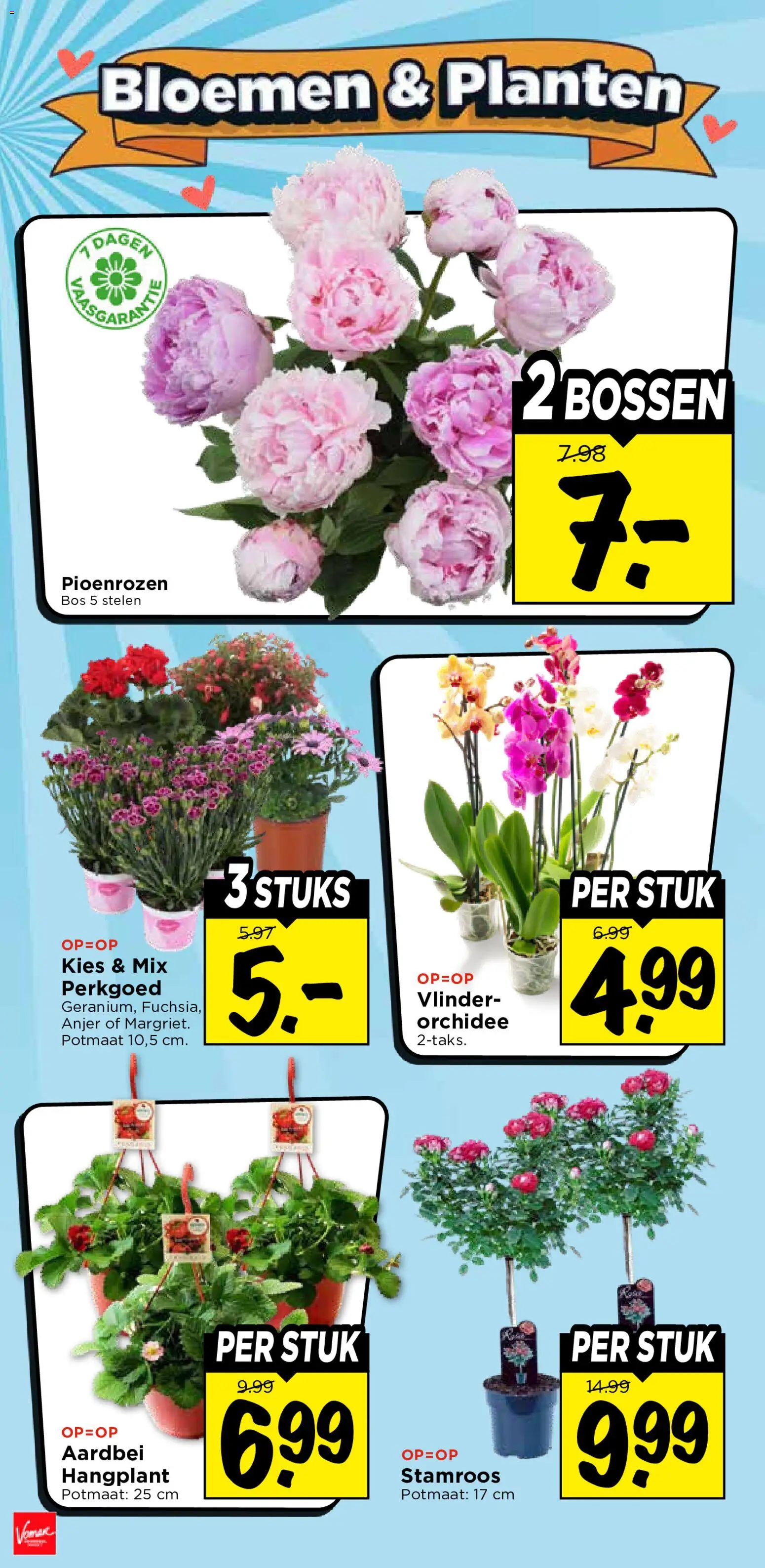 {H1} | Pagina: 33 | Producten: Bloemen, Aardbei