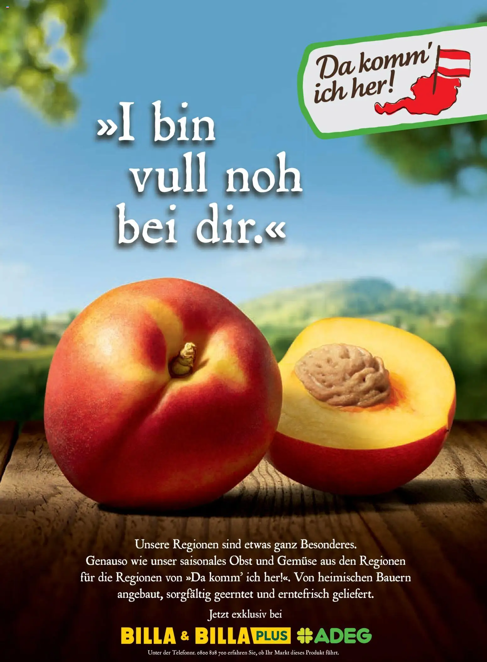 Billa AT akciós ujság - amely érvényes a következő dátumtól: 01.07.2026 | Oldal: 168