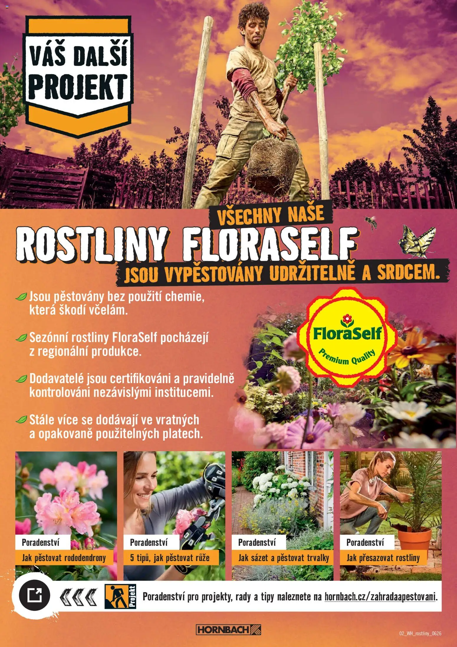 HORNBACH leták - Venkovní rostliny od 10.06.2026 | Strana: 2 | Produkty: Rostliny