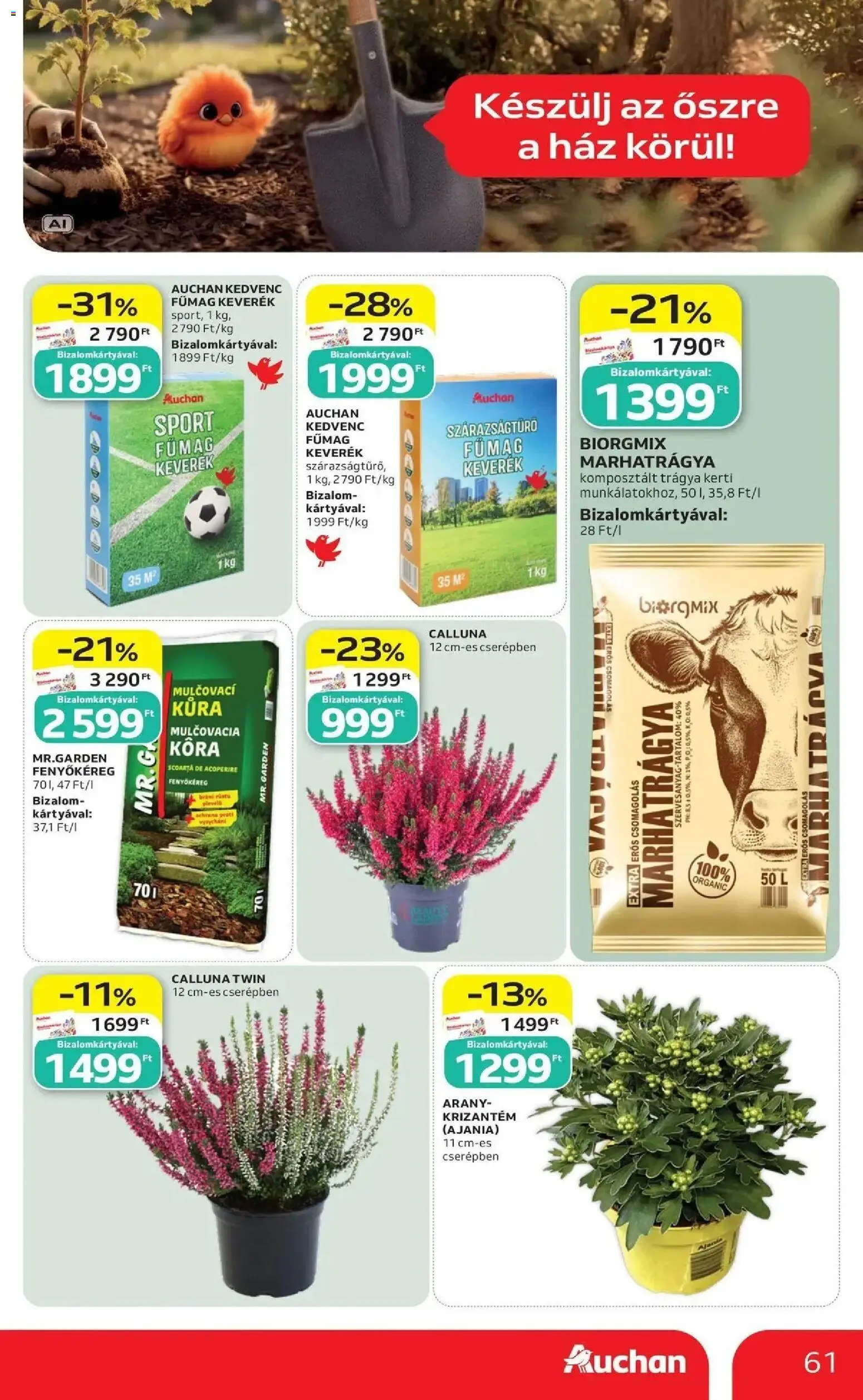 Auchan akciós újság Szolnok - 2026.09.03. -tól/töl > akció, lapozható szórólap 🛍️ | Oldal: 61 | Termékek: Fenyőkéreg, Marhatrágya, Trágya, Fűmag