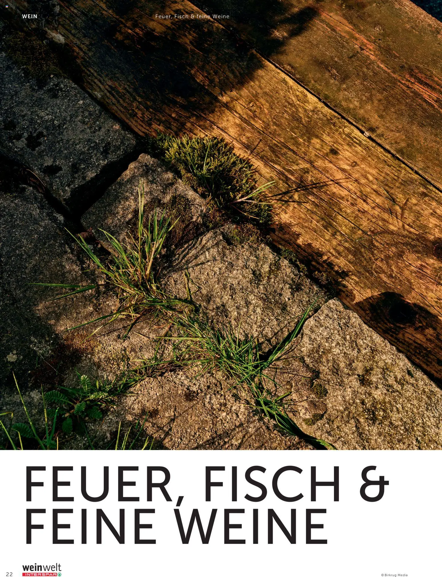 Interspar Meine Weinwelt Sommer 2026 gültig ab 11.06.2026 | Seite: 22 | Produkte: Wein, Fisch
