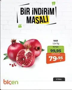 27 Ekim 2026 tarihinden itibaren geçerli olan Biçen Market kataloğu önizlemesi