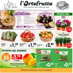Anteprima del volantino Coal volantino èccoMi Teramo valido a partire dal 18.06.2026 | Pagina: 2 | Prodotti: Verdure, Prezzemolo, Melanzane, Vaso