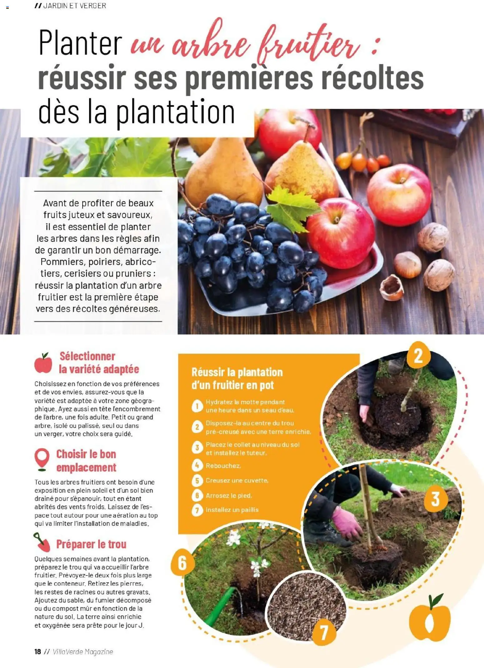{H1} | Page: 18 | Produits: Arbre fruitier, Fruits, Magazine