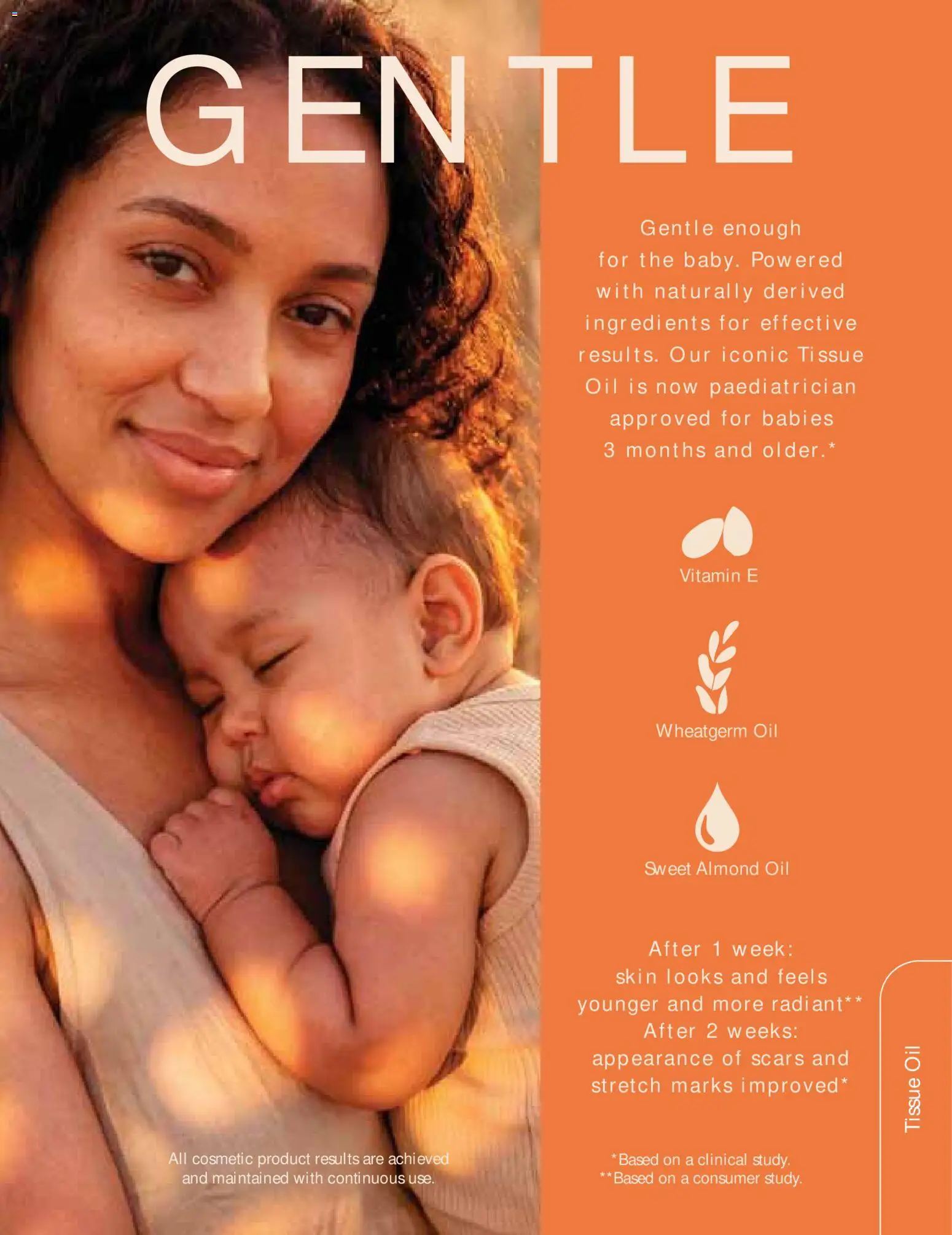New Justine catalogue – valid from 01/09/2026 | Page: 26