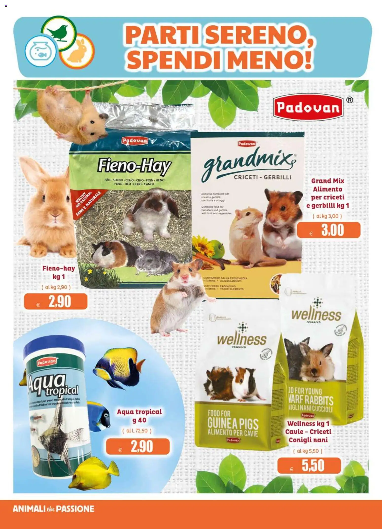 Volantino Elite Supermercati del 24/06/2026 | Pagina: 14 | Prodotti: Fan