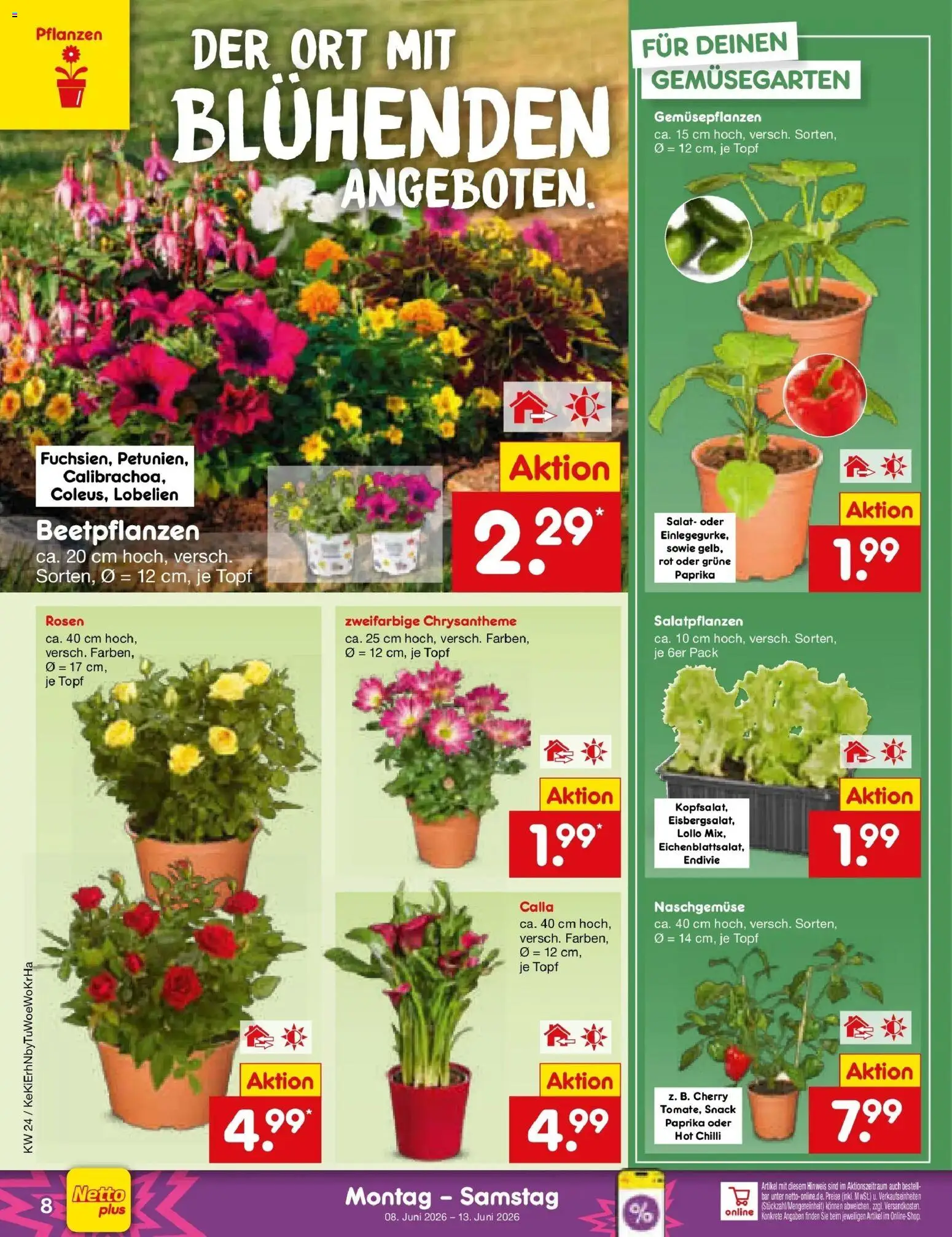Netto Marken-Discount Prospekt Jüchen – gültig ab 08.06.2026 | Seite: 12 | Produkte: Paprika, Salat