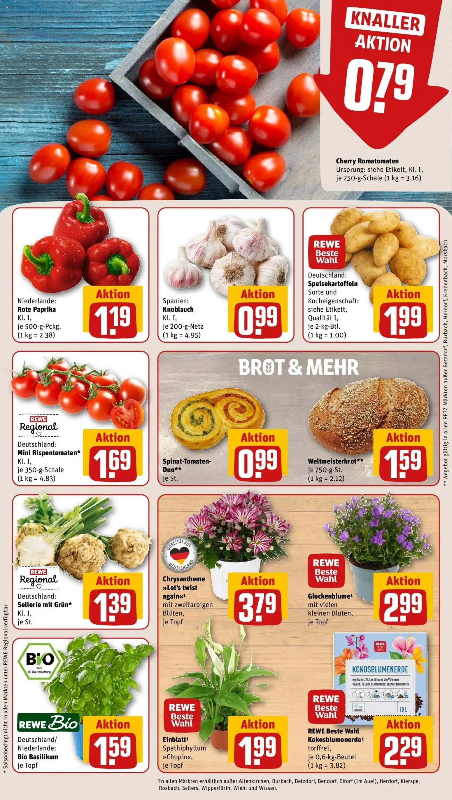 REWE Prospekt ab 10.08.2026 zum Blättern » Angebote | Seite: 5 | Produkte: Blumenerde, Paprika, Knoblauch, Brot