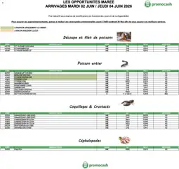 Promocash - Prévisualisation de Promocash Opportunités Marée valide à partir de 02.06.2026