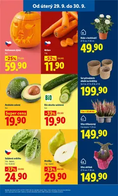 Náhled letáku Mrkev, Carrots od 29.09.2026 | Strana: 13