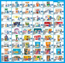 Anteprima del volantino DEM volantino valido a partire dal 11/09/2026 | Pagina: 13 | Prodotti: Fiocchi, Gnocchi, Panna da cucina, Farro