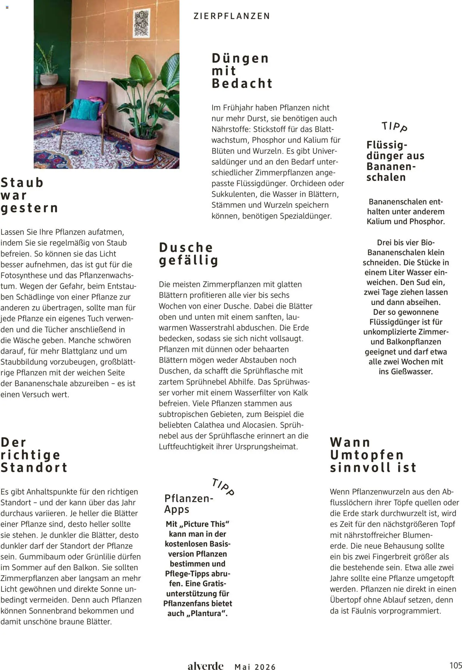 dm drogerie Prospekt 	 – gültig ab 01.05.2026 | Seite: 105 | Produkte: Dusche, Blumen, Bananen, Wasser
