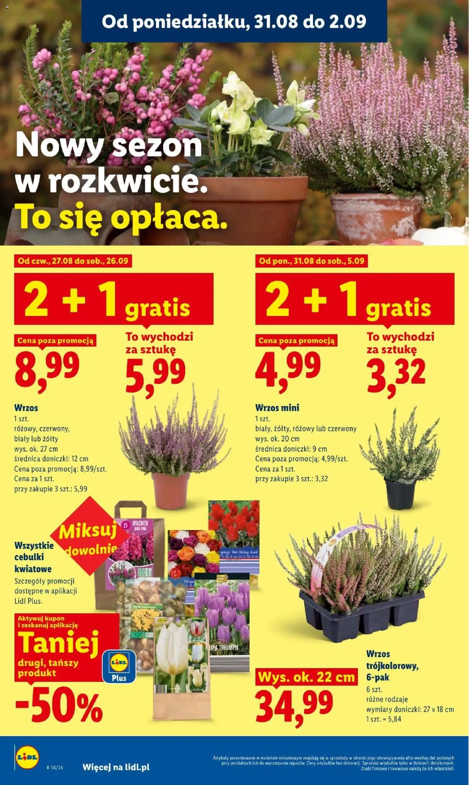 Lidl gazetka od 31.08.2026 | Strona: 86 | Produkty: Wrzos, Doniczki
