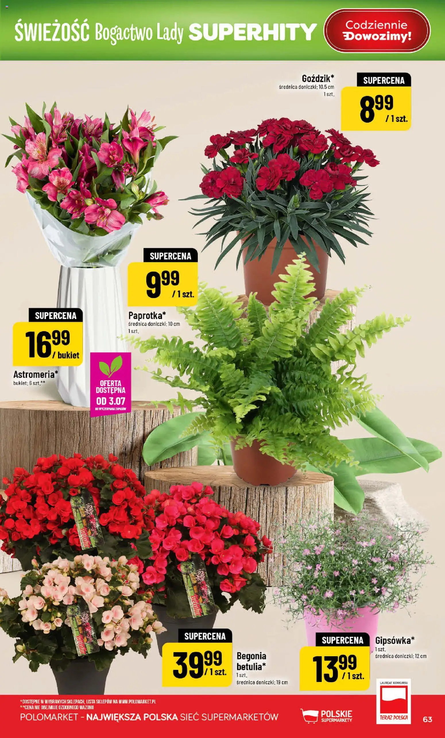 POLOmarket gazetka od 01.07.2026 | Strona: 63 | Produkty: Doniczki