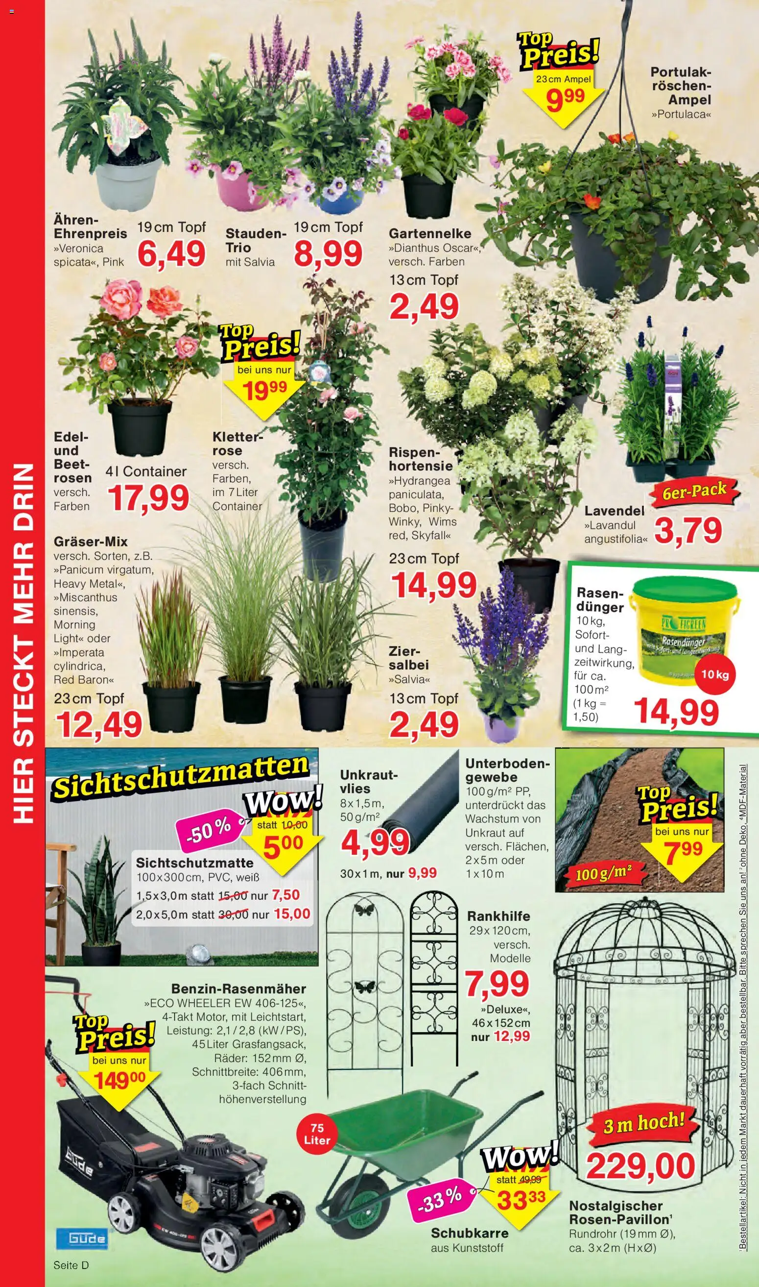 Wiglo Wunderland Prospekt – gültig ab 06.07.2026 | Seite: 12 | Produkte: Hortensie, Lavendel