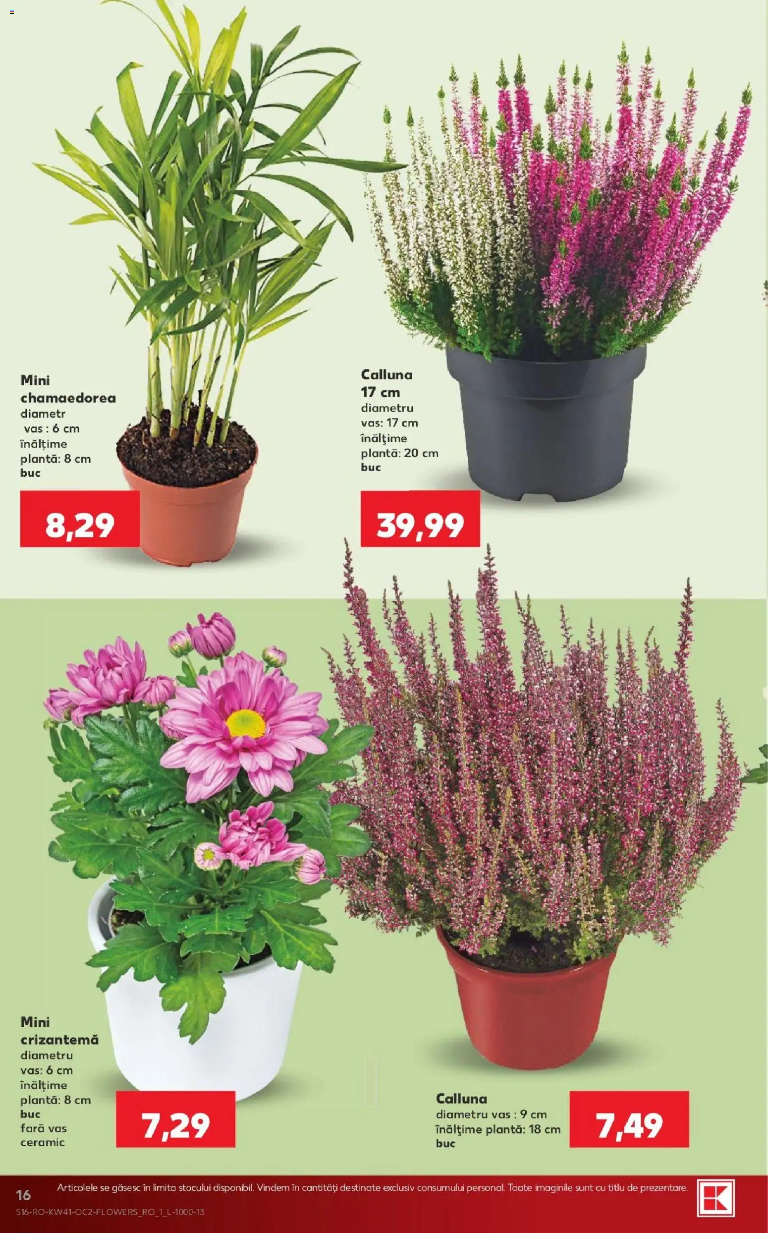 Noul catalog Kaufland – valabil de la 07.10.2026 | Pagină: 16