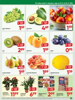Tuš katalog akcije – veljaven od 19.08.2026 | Stran: 5 | Izdelki: Marelice, Kivi, Nektarine, Hruške