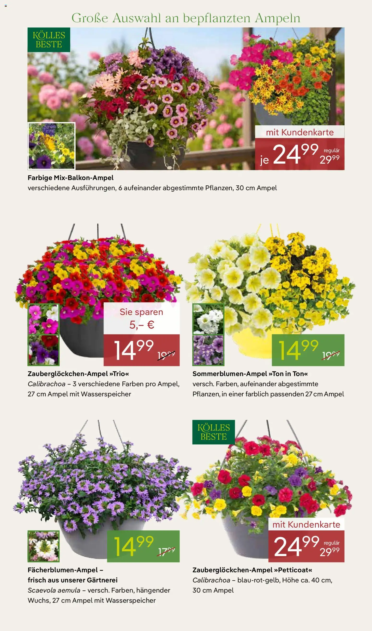 Pflanzen-Kölle Prospekt 	 – gültig ab 04.05.2026 | Seite: 6