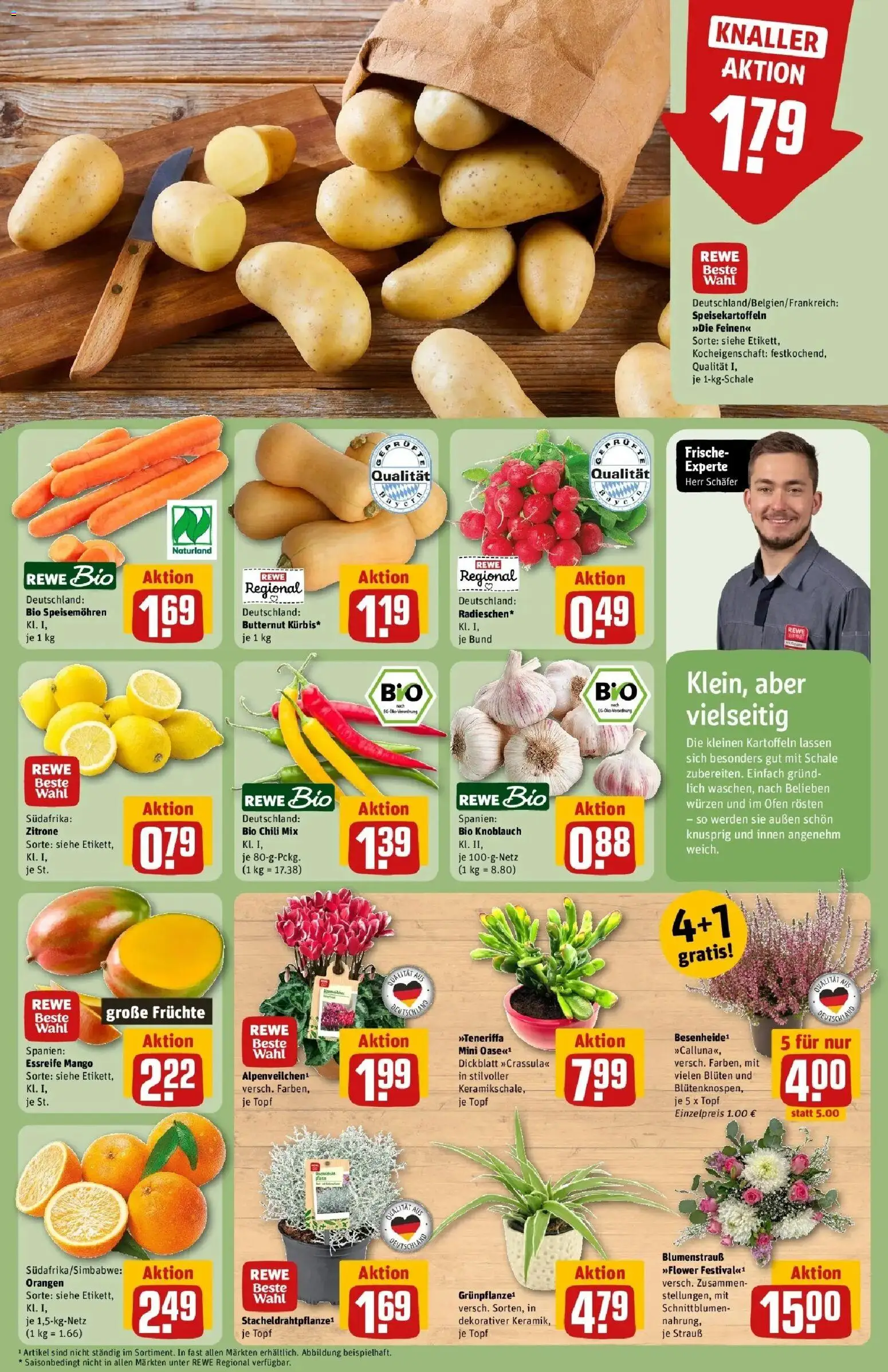 REWE Prospekt ab 05.10.2026 zum Blättern » Angebote | Seite: 9 | Produkte: Ofen, Orangen, Knoblauch, Chili