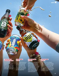 Delhaize Magazine - Voorbeeld van een folder van Delhaize, geldig van 18/08/2026 | Pagina: 71 | Producten: Bier, Bloemen, Bloem, Kan