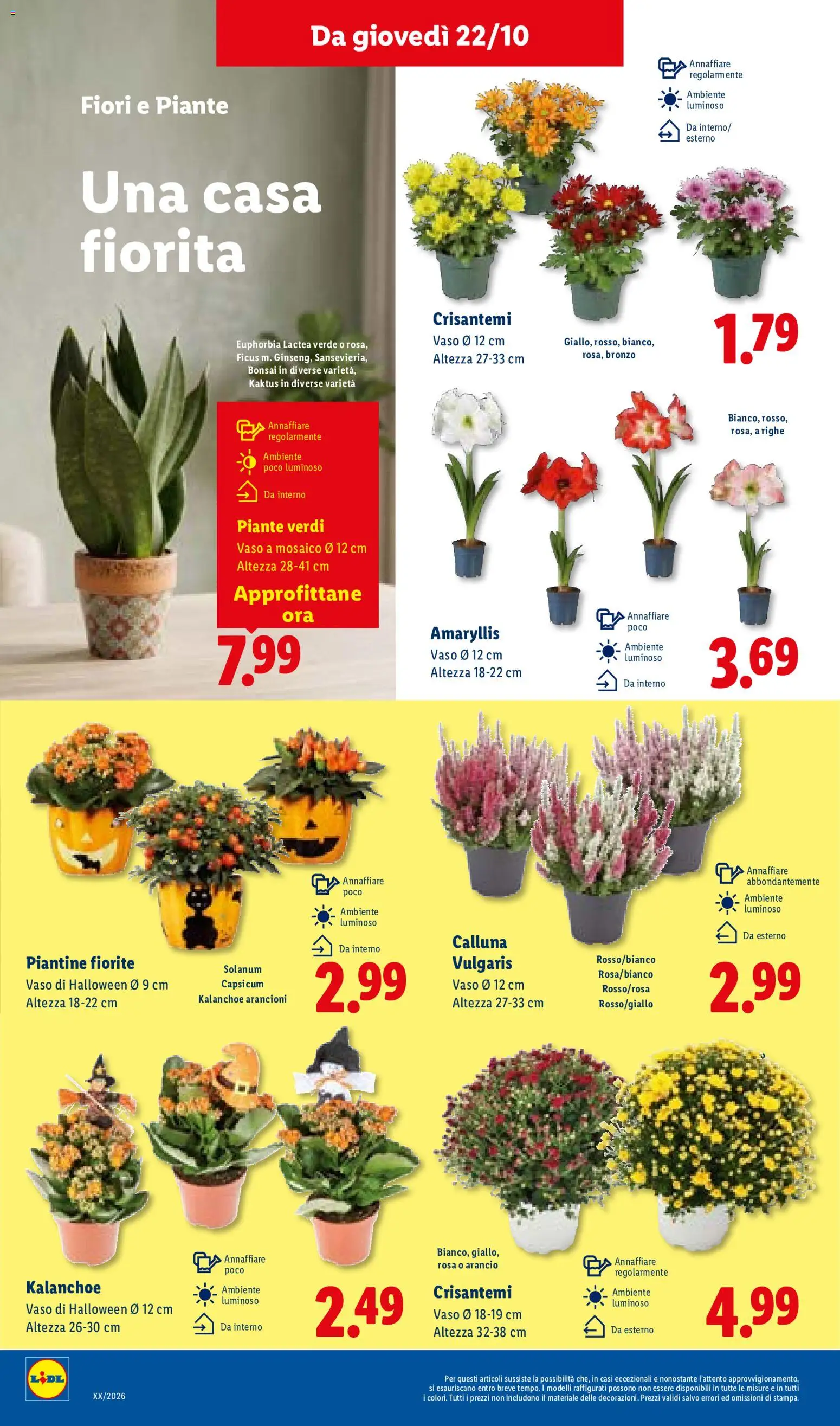 Volantino Lidl del 22/10/2026 | Pagina: 34