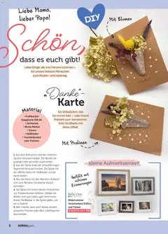 Norma NORMAgazin Mai/Juni 2026 ab 01.05.2026 gültig | Seite: 8 | Produkte: Blumen, Bilderrahmen