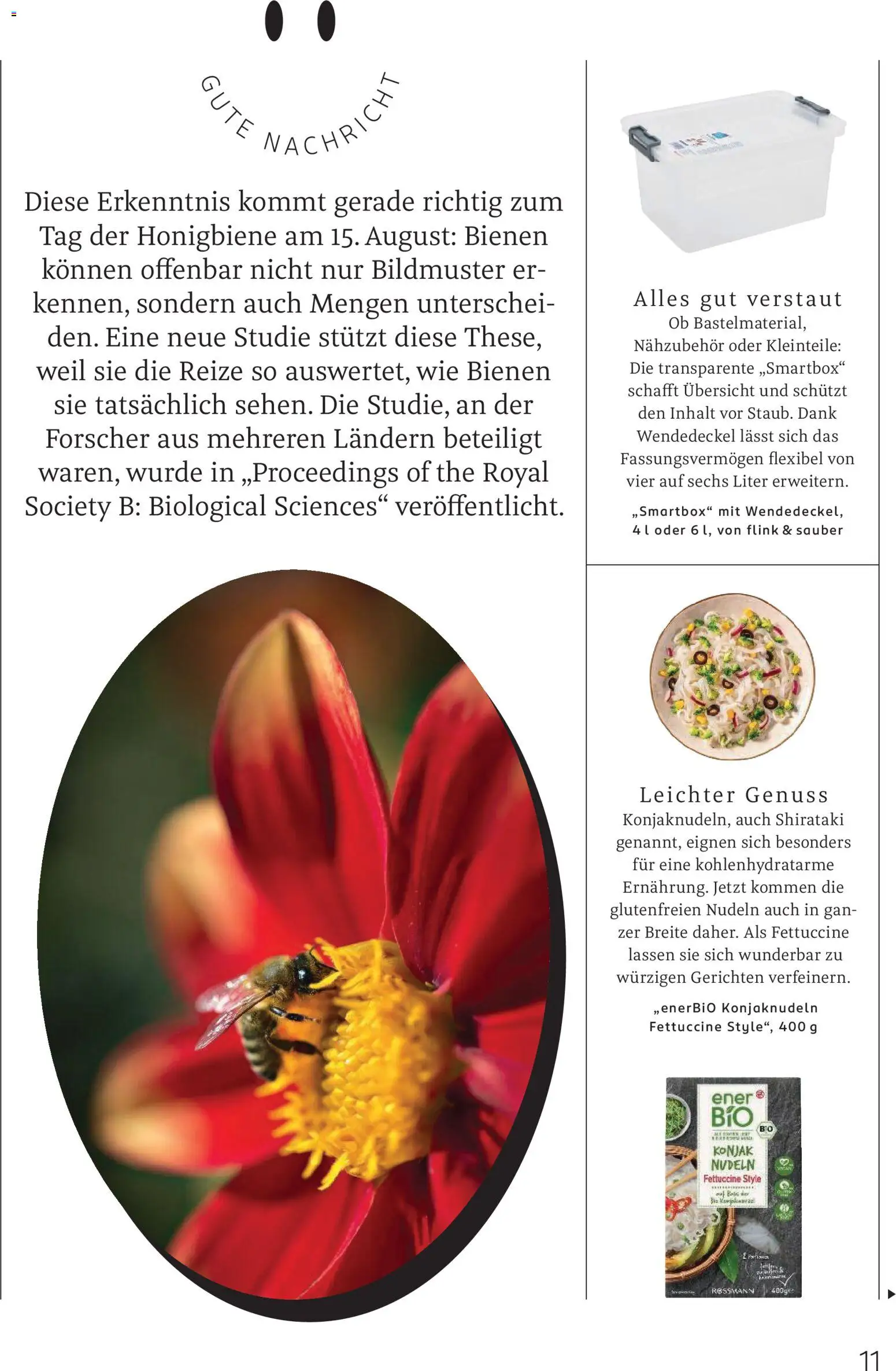 Rossmann Centaur – gültig ab 01.08.2026 | Seite: 11 | Produkte: Nudeln