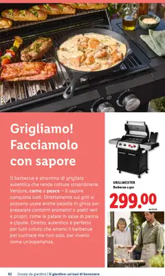 Anteprima del volantino GRILLMEISTER Barbecue a gas, Barbecue a gas valido a partire dal 23.04.2026 | Pagina: 62 | Prodotti: Pesce, Panna, Patate, Barbecue