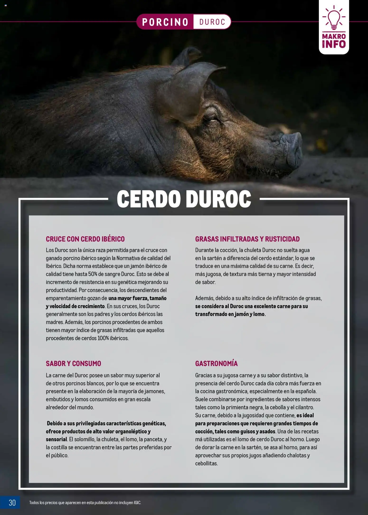 Makro - Expertos en carnes Canarias │ válido desde el 09.03.2026 | Página: 30 | Productos: Κρεμάστρα, Jamón, Νυχτικό, Παγωμένο τσάι