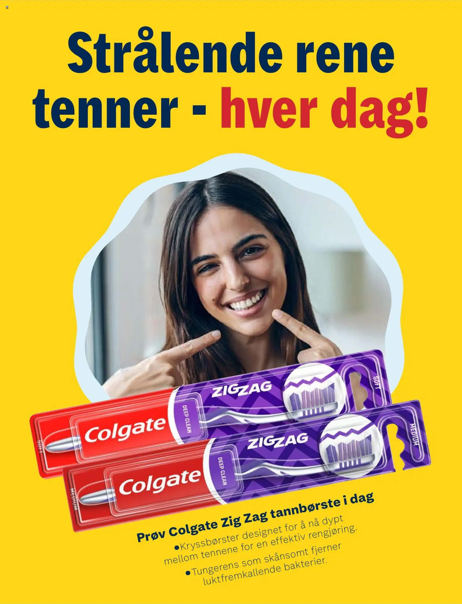 {H1} | Side: 17 | Produkter: Tannbørste