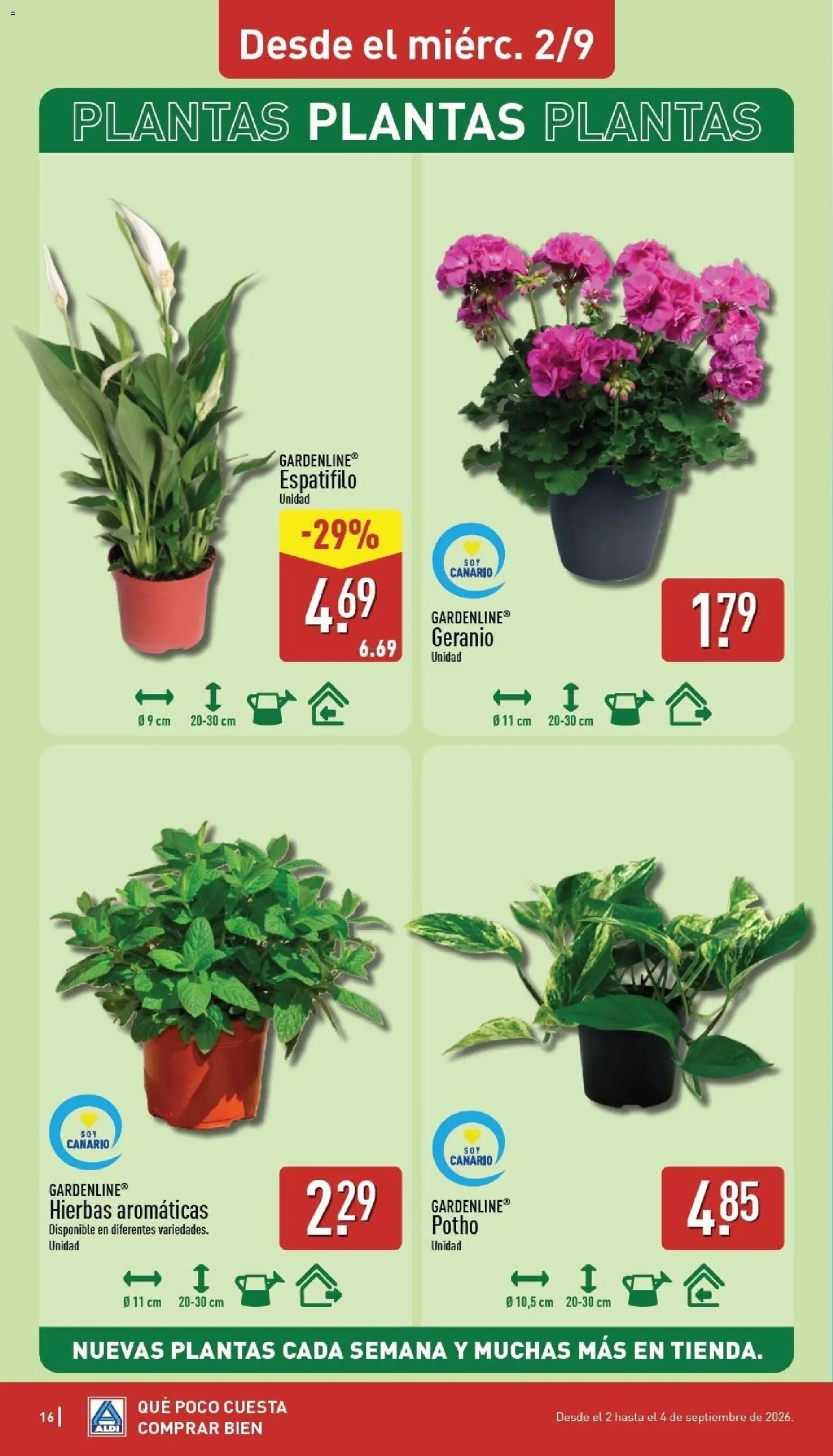Aldi folleto Canarias │ válido desde el 31/08/2026 | Página: 16 | Productos: Hierbas