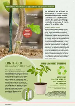 Bauhaus Reiche Ernte ab 25.05.2026 gültig | Seite: 16 | Produkte: Gemüse, Hut, Tomaten