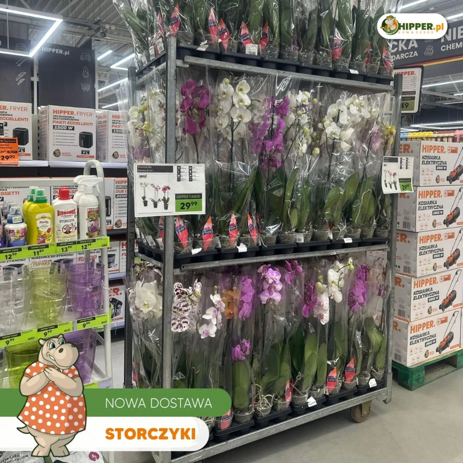 Hipper gazetka od 15.05.2026 | Strona: 5 | Produkty: Frytkownica, Kosiarka, Frytkownica beztłuszczowa, Storczyk