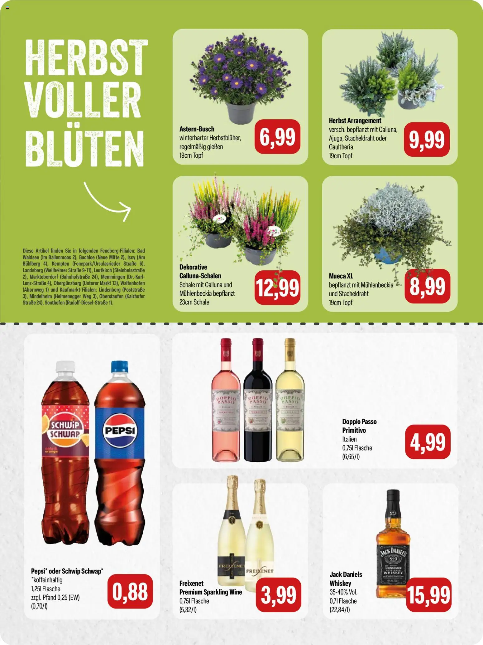 Feneberg Angebote – gültig ab 17.09.2026 | Seite: 6 | Produkte: Freixenet, Bad, Pepsi, Whiskey