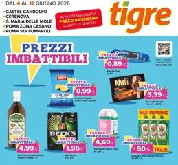 Anteprima del volantino Tigre volantino Roma valido a partire dal 04.06.2026