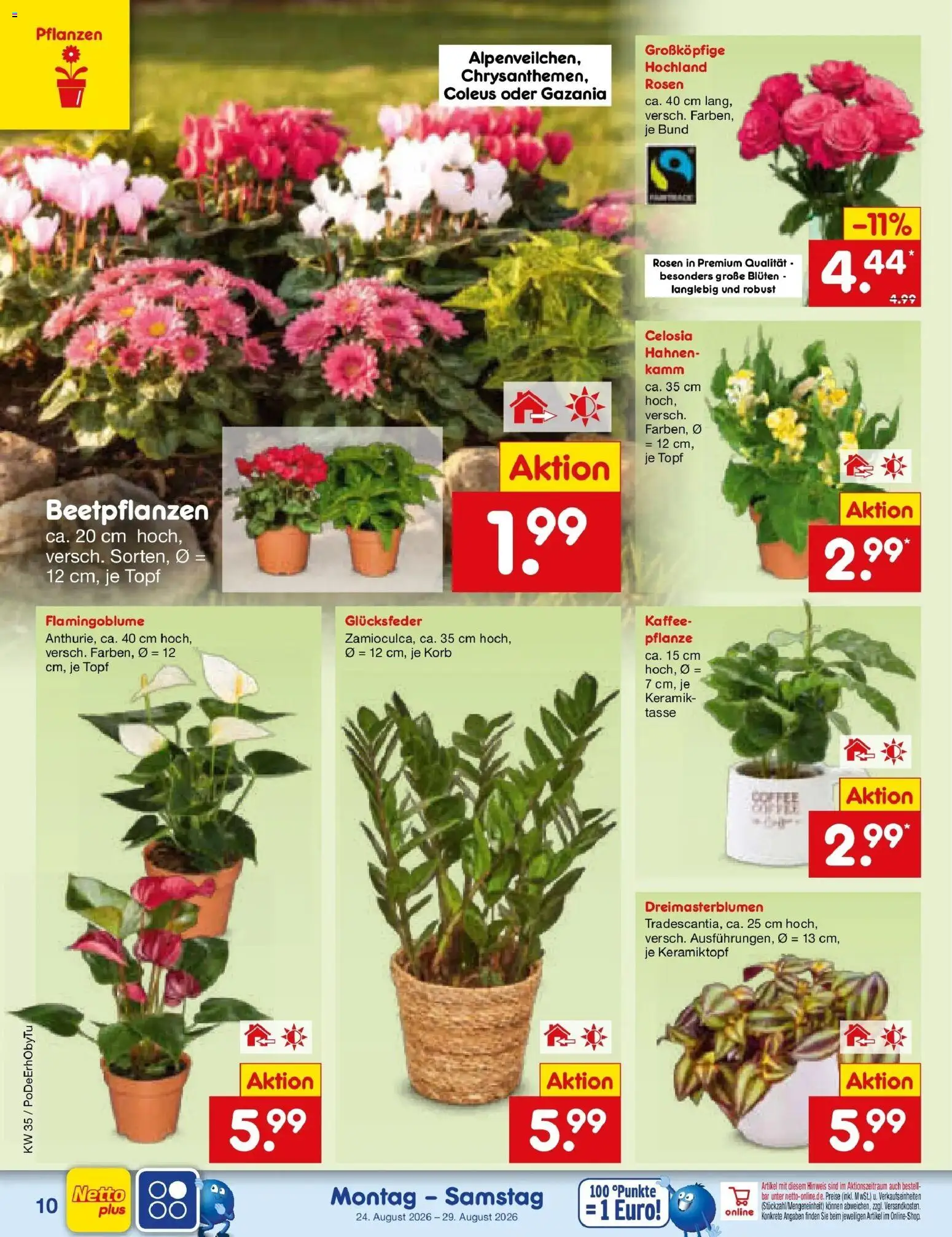 Netto Marken-Discount Prospekt Amberg (ab 24.08.2026) » Angebote | Seite: 14 | Produkte: Kaffee, Korb