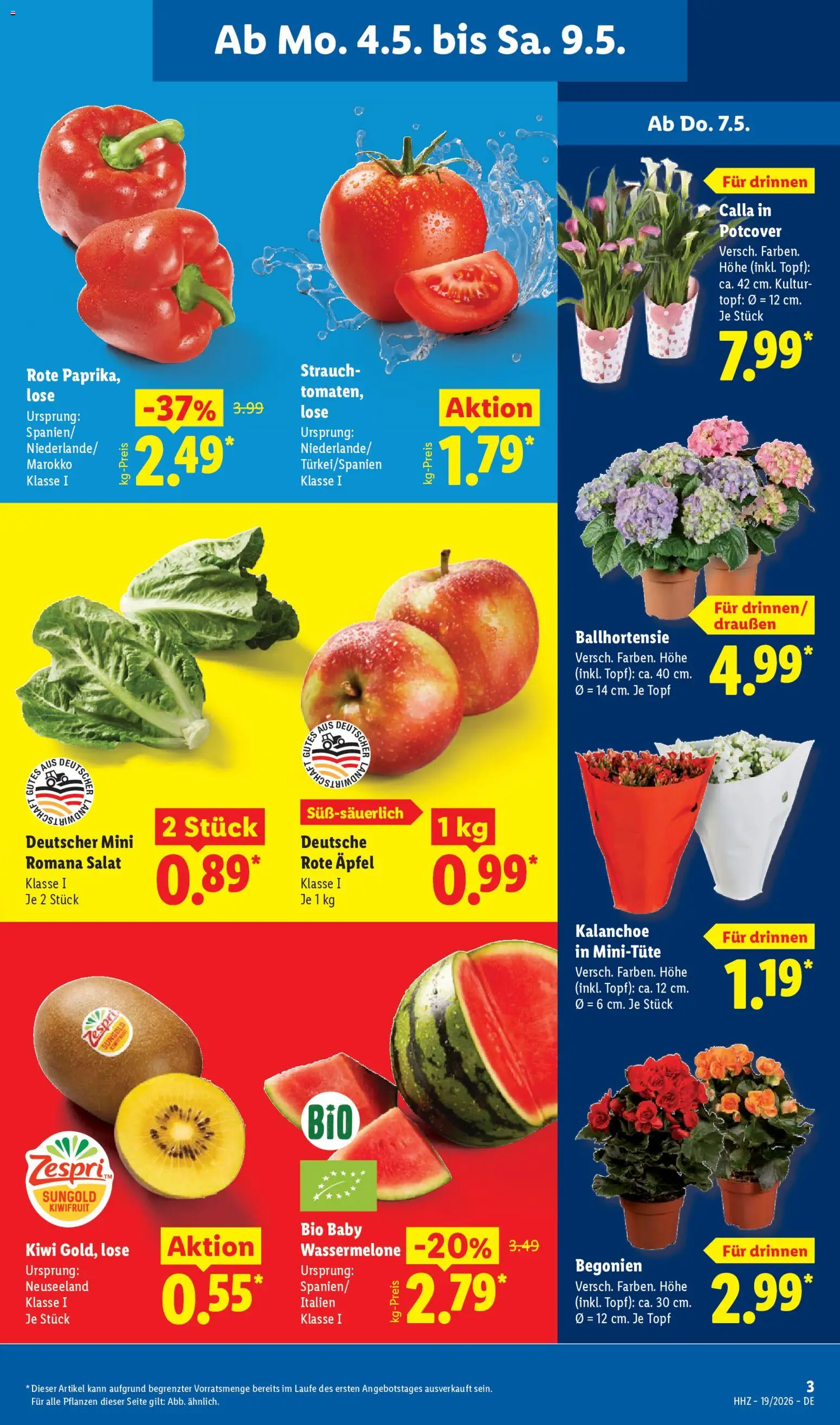 Lidl Prospekt – gültig ab 04.05.2026 | Seite: 7 | Produkte: Äpfel, Wassermelone, Kiwi, Salat