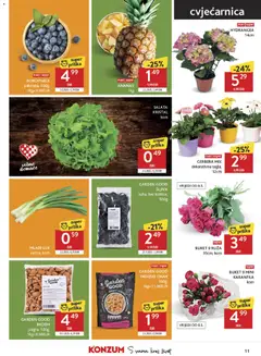 GARDEN GOOD BADEM, Jezgra, 500g - Pregled kataloga iz trgovine Konzum, vrijedi od 06.05.2026 | Stranica: 11