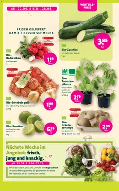 Denns BioMarkt Angebote ab 22.04.2026 gültig | Seite: 2 | Produkte: Gemüse, Obst, Tomaten
