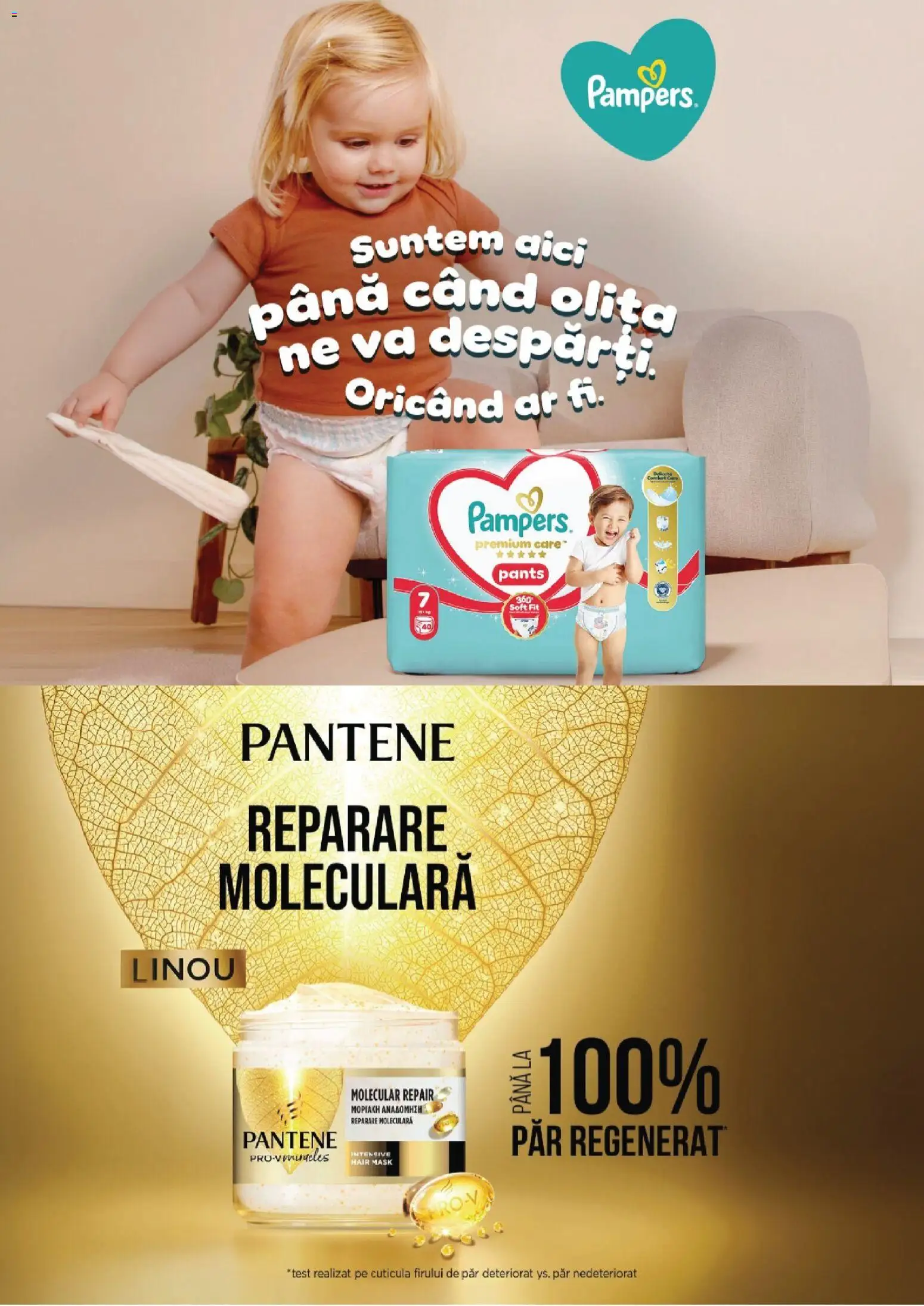 Noul catalog Diana – valabil de la 16.10.2026 | Pagină: 16 | Produse: Premium