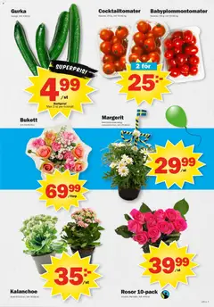 Pekås erbjudanden - Förhandsvisning av reklamblad från butik Pekås aktuell från 15.06.2026 | Sida: 7 | Produkter: Cocktailtomater, Kruka, Gurka